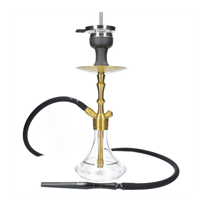 Chicha MVP 360 GOLD EDITION