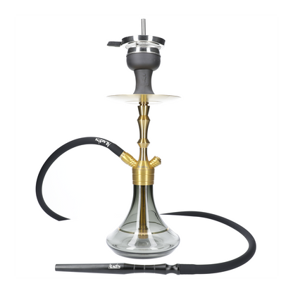 Chicha MVP 360 GOLD EDITION