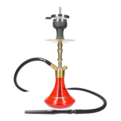 Chicha MVP 360 GOLD EDITION